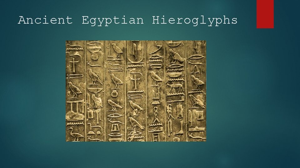 Ancient Egyptian Hieroglyphs 