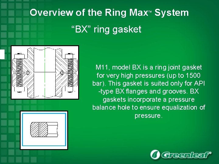 Overview of the Ring Max System TM “BX” ring gasket M 11, model BX