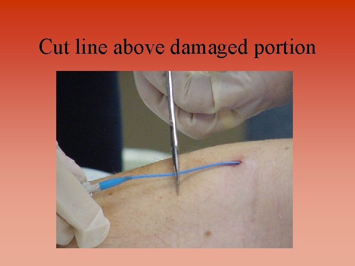 Cut line above damaged portion 