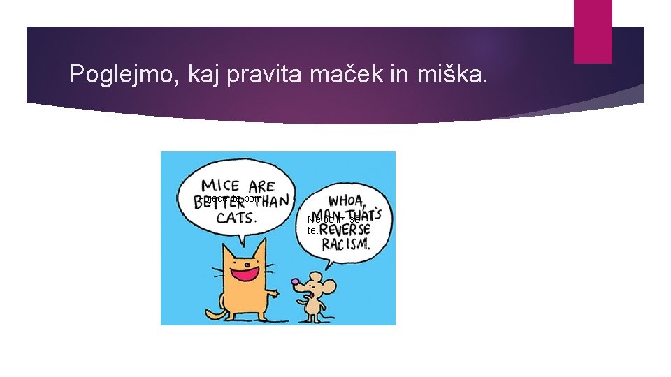 Poglejmo, kaj pravita maček in miška. Pojedel te bom. Ne bojim se te. 