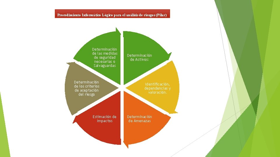 Procedimiento Informático Lógico para el análisis de riesgos (Pilar) Determinación de las medidas de