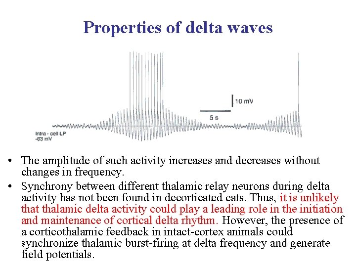 Properties of delta waves • The amplitude of such activity increases and decreases without