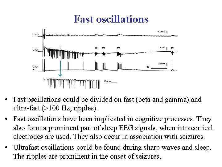 Fast oscillations • Fast oscillations could be divided on fast (beta and gamma) and
