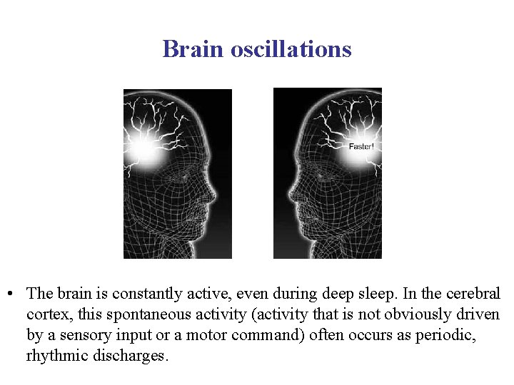 Brain oscillations • The brain is constantly active, even during deep sleep. In the