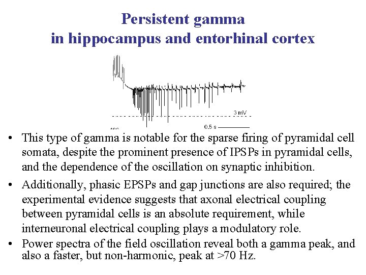 Persistent gamma in hippocampus and entorhinal cortex • This type of gamma is notable