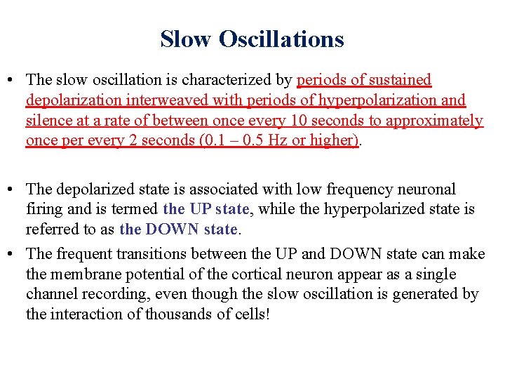Slow Oscillations • The slow oscillation is characterized by periods of sustained depolarization interweaved