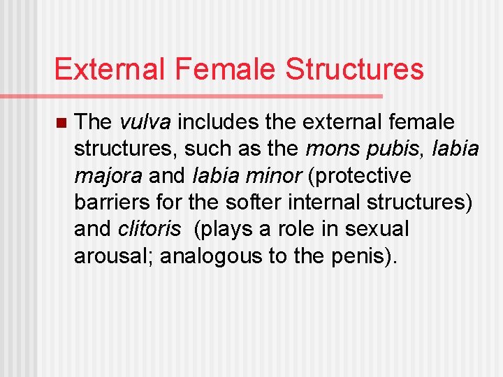 External Female Structures n The vulva includes the external female structures, such as the