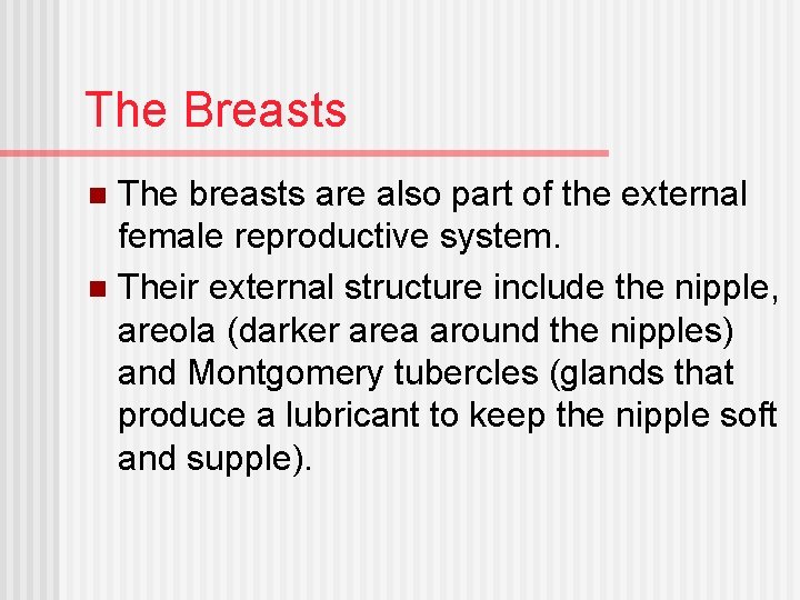 The Breasts The breasts are also part of the external female reproductive system. n