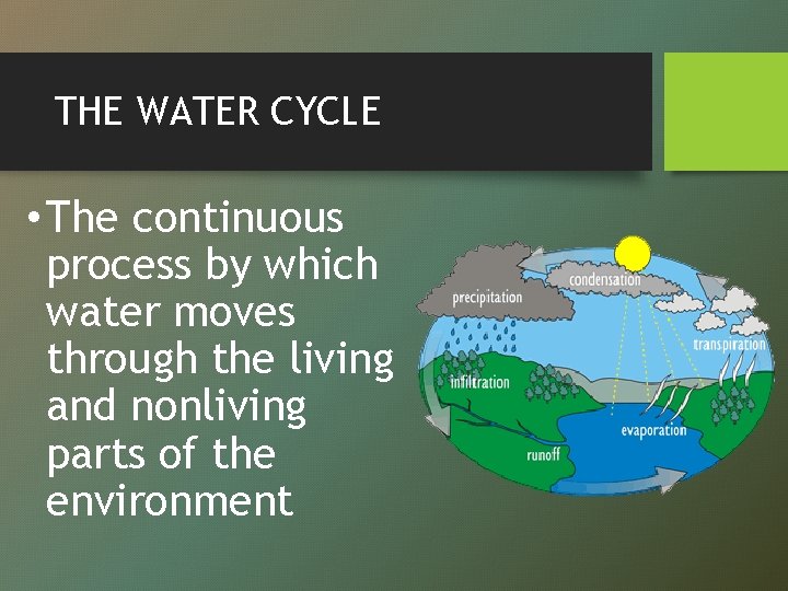 THE WATER CYCLE • The continuous process by which water moves through the living