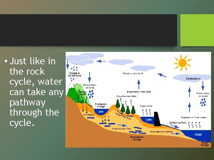  • Just like in the rock cycle, water can take any pathway through