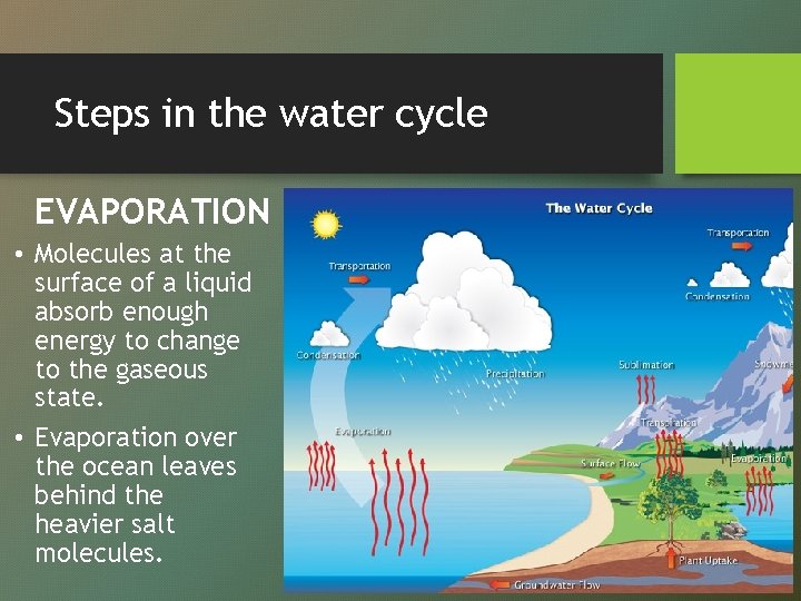 Steps in the water cycle EVAPORATION • Molecules at the surface of a liquid