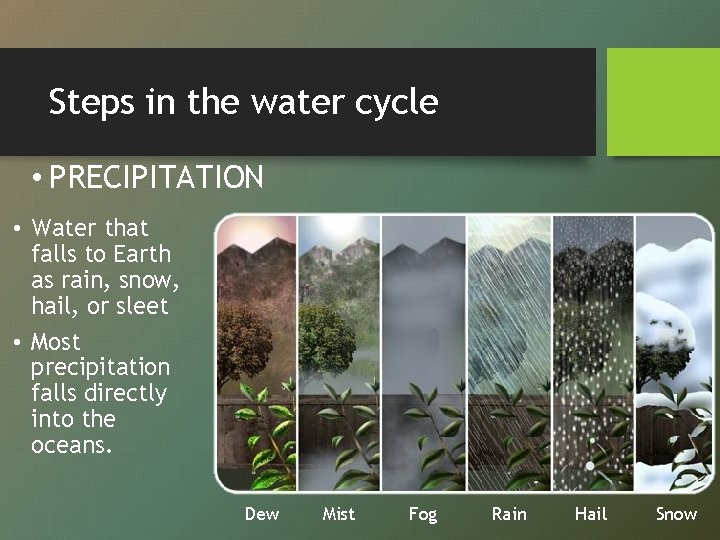 Steps in the water cycle • PRECIPITATION • Water that falls to Earth as