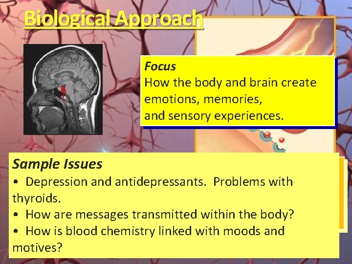 Biological Approach Focus How the body and brain create emotions, memories, and sensory experiences.