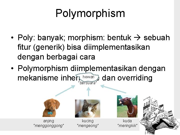 Polymorphism • Poly: banyak; morphism: bentuk sebuah fitur (generik) bisa diimplementasikan dengan berbagai cara