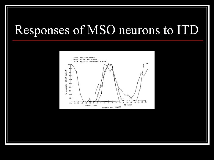 Responses of MSO neurons to ITD 