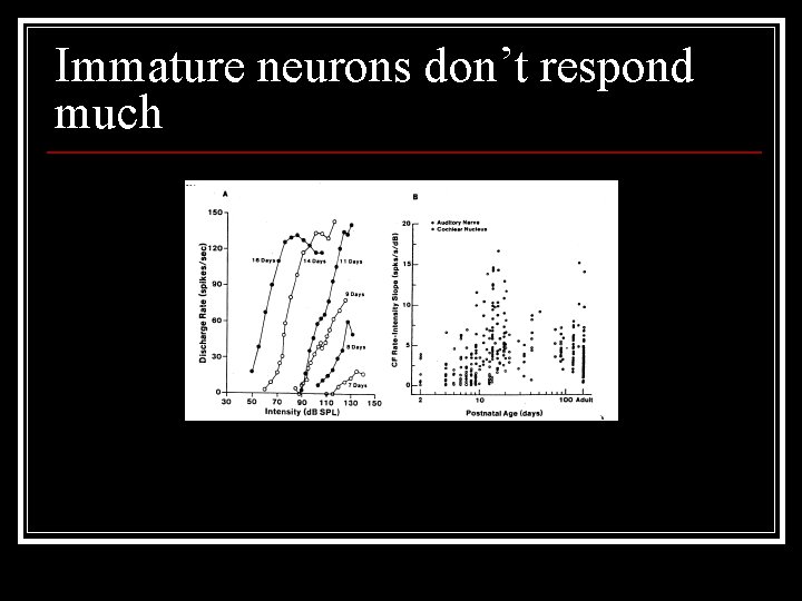 Immature neurons don’t respond much 
