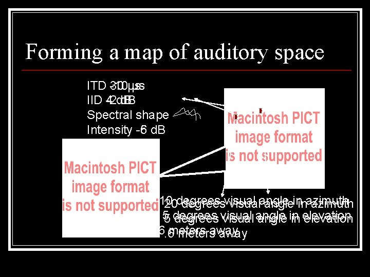 Forming a map of auditory space ITD -10 30 µs µs IID -2 4
