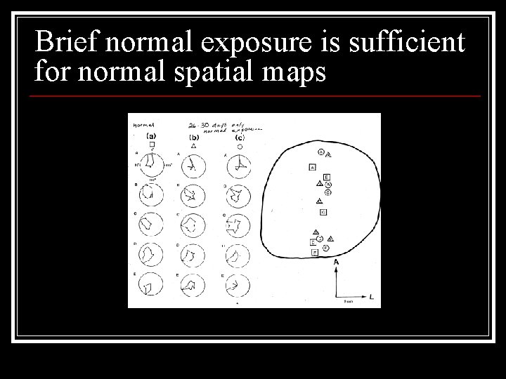 Brief normal exposure is sufficient for normal spatial maps 