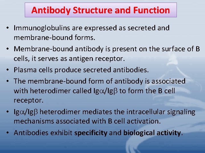 Antibody Structure and Function • Immunoglobulins are expressed as secreted and membrane-bound forms. •