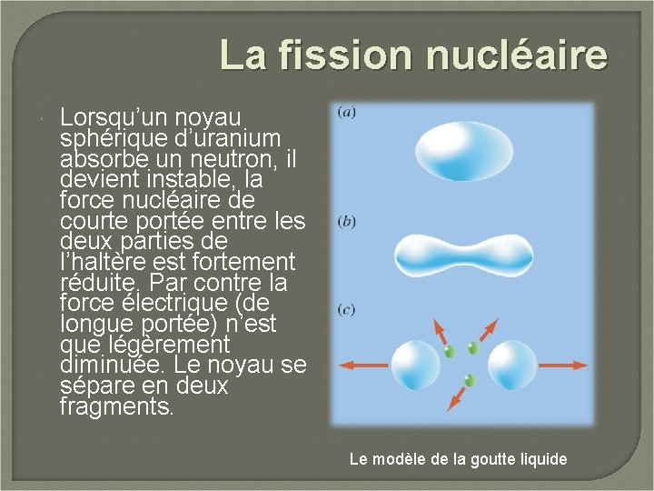 La fission nucléaire Lorsqu’un noyau sphérique d’uranium absorbe un neutron, il devient instable, la
