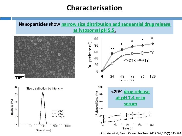 Characterisation Nanoparticles show narrow size distribution and sequential drug release at lysosomal p. H
