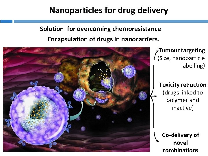 Nanoparticles for drug delivery Solution for overcoming chemoresistance Encapsulation of drugs in nanocarriers. Tumour