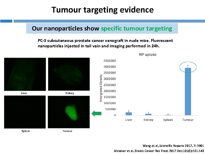 Tumour targeting evidence Our nanoparticles show specific tumour targeting PC-3 subcutaneous prostate cancer xenograft