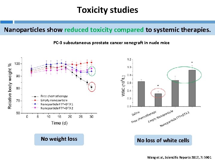 Toxicity studies Nanoparticles show reduced toxicity compared to systemic therapies. PC-3 subcutaneous prostate cancer