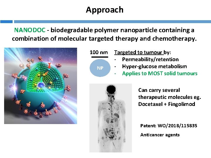 Approach NANODOC - biodegradable polymer nanoparticle containing a combination of molecular targeted therapy and