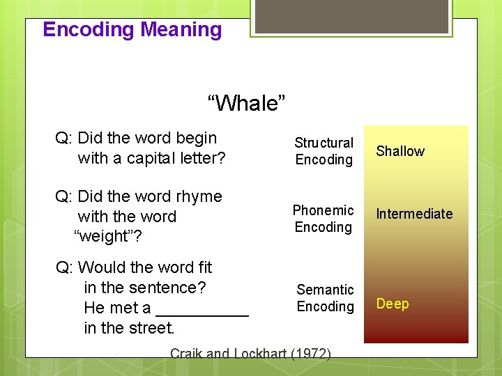 Encoding Meaning “Whale” Q: Did the word begin with a capital letter? Structural Encoding
