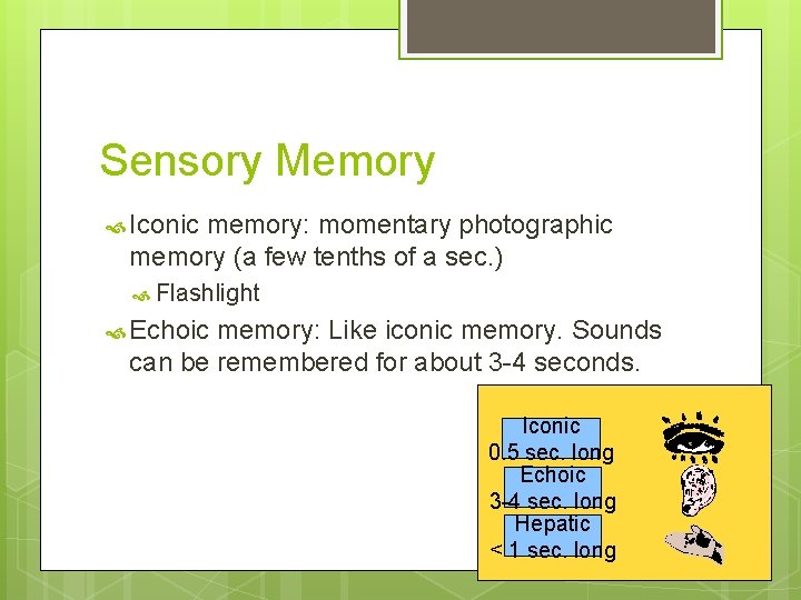 Sensory Memory Iconic memory: momentary photographic memory (a few tenths of a sec. )