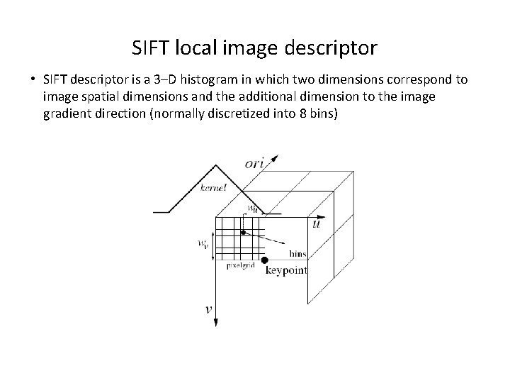 SIFT local image descriptor • SIFT descriptor is a 3–D histogram in which two