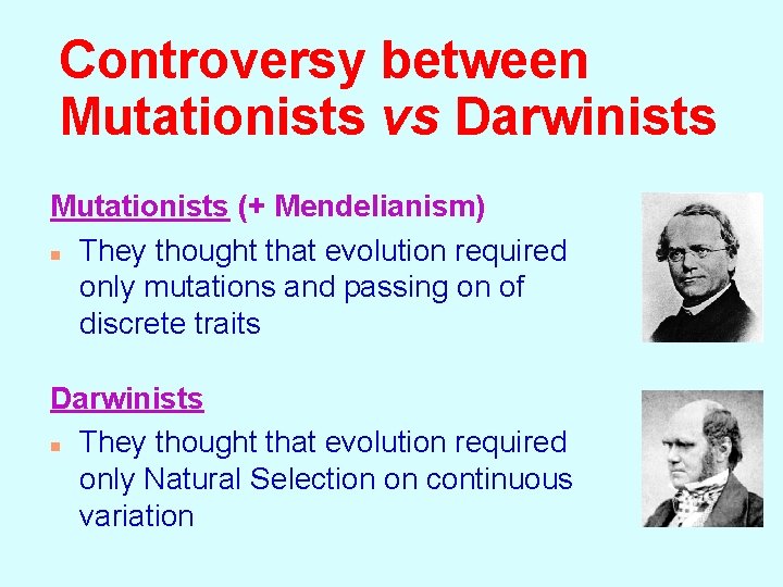 Controversy between Mutationists vs Darwinists Mutationists (+ Mendelianism) n They thought that evolution required