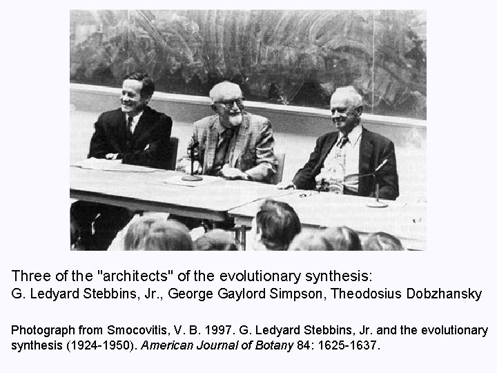 Three of the "architects" of the evolutionary synthesis: G. Ledyard Stebbins, Jr. , George
