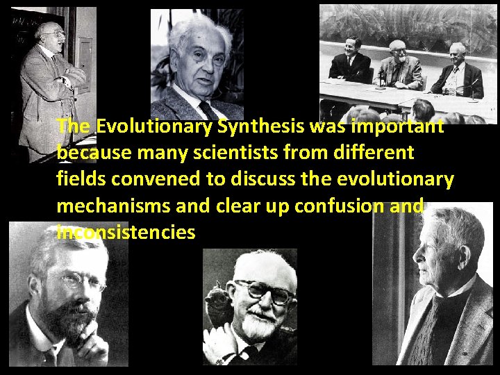 The Evolutionary Synthesis was important because many scientists from different fields convened to discuss