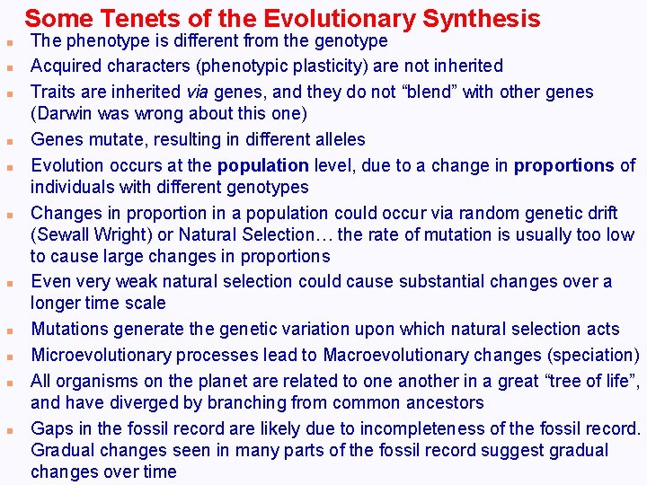 Some Tenets of the Evolutionary Synthesis n n n The phenotype is different from