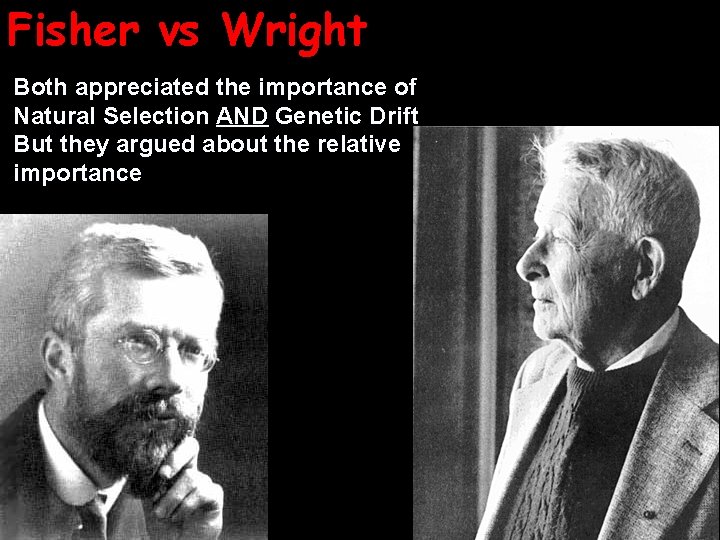 Fisher vs Wright Both appreciated the importance of Natural Selection AND Genetic Drift But