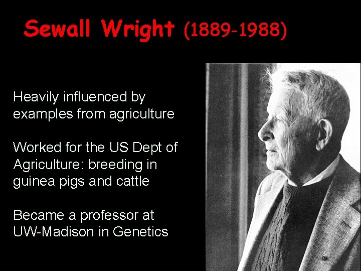 Sewall Wright (1889 -1988) Heavily influenced by examples from agriculture Worked for the US