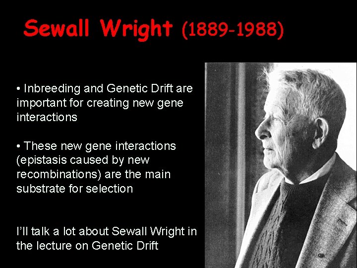 Sewall Wright (1889 -1988) • Inbreeding and Genetic Drift are important for creating new