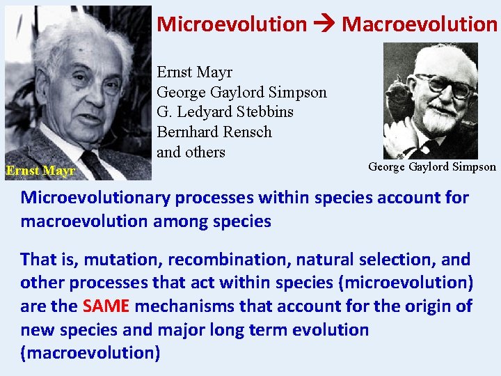 Microevolution Macroevolution Ernst Mayr George Gaylord Simpson G. Ledyard Stebbins Bernhard Rensch and others