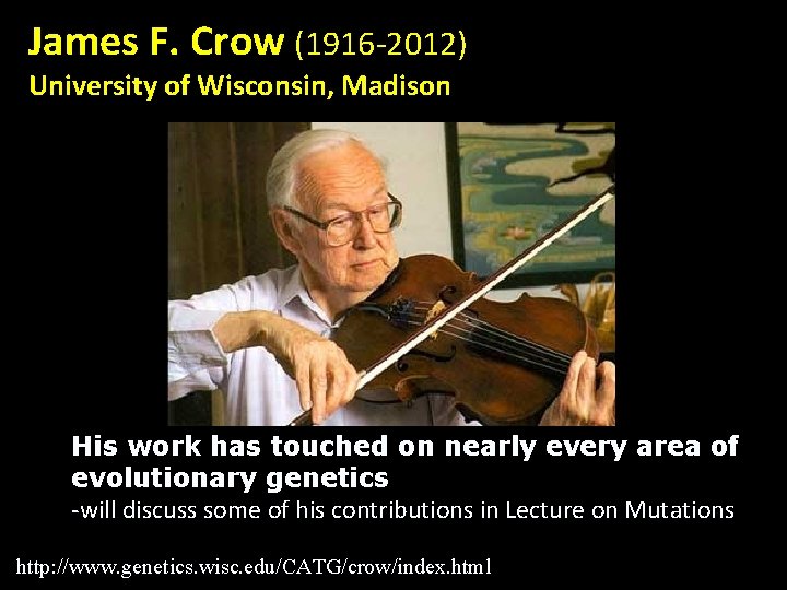 James F. Crow (1916 -2012) University of Wisconsin, Madison His work has touched on