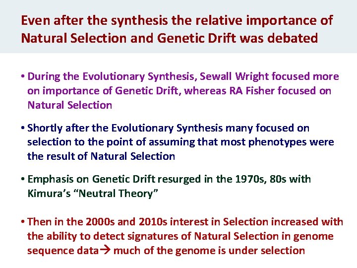 Even after the synthesis the relative importance of Natural Selection and Genetic Drift was