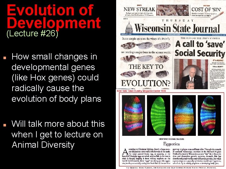 Evolution of Development (Lecture #26) n n How small changes in developmental genes (like