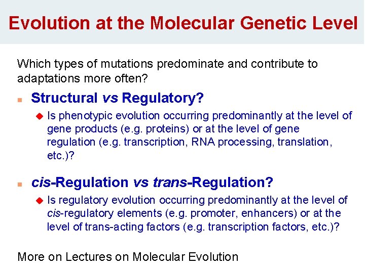 Evolution at the Molecular Genetic Level Which types of mutations predominate and contribute to