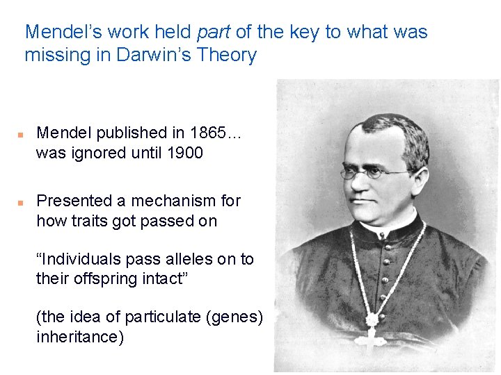 Mendel’s work held part of the key to what was missing in Darwin’s Theory