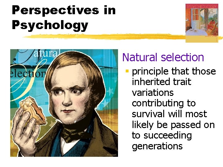 Perspectives in Psychology § Natural selection § principle that those inherited trait variations contributing