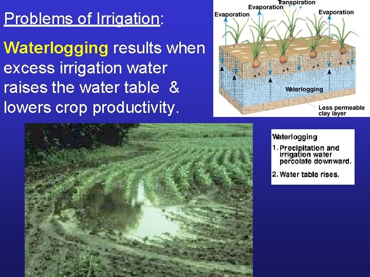 Problems of Irrigation: Waterlogging results when excess irrigation water raises the water table &