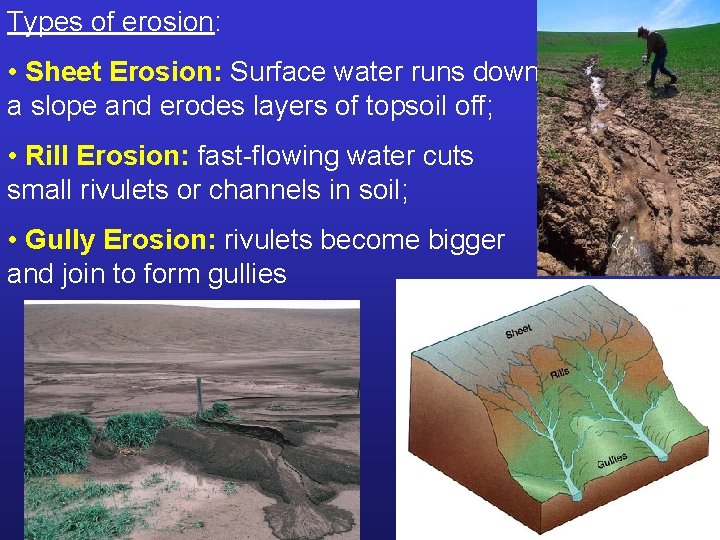 Types of erosion: • Sheet Erosion: Surface water runs down a slope and erodes