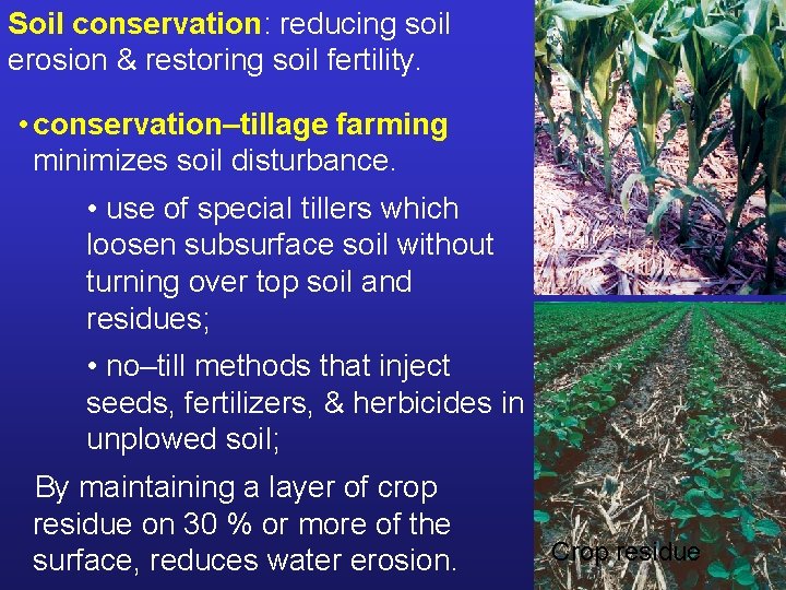 Soil conservation: reducing soil erosion & restoring soil fertility. • conservation–tillage farming minimizes soil