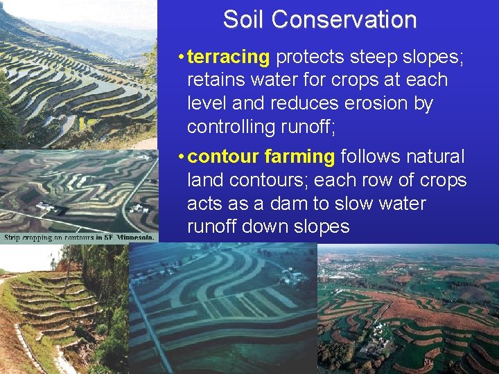 Soil Conservation • terracing protects steep slopes; retains water for crops at each level